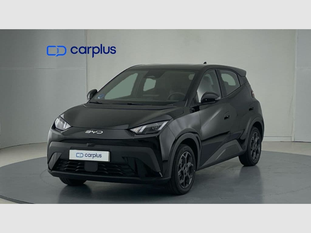 BYD Dolphin Surf