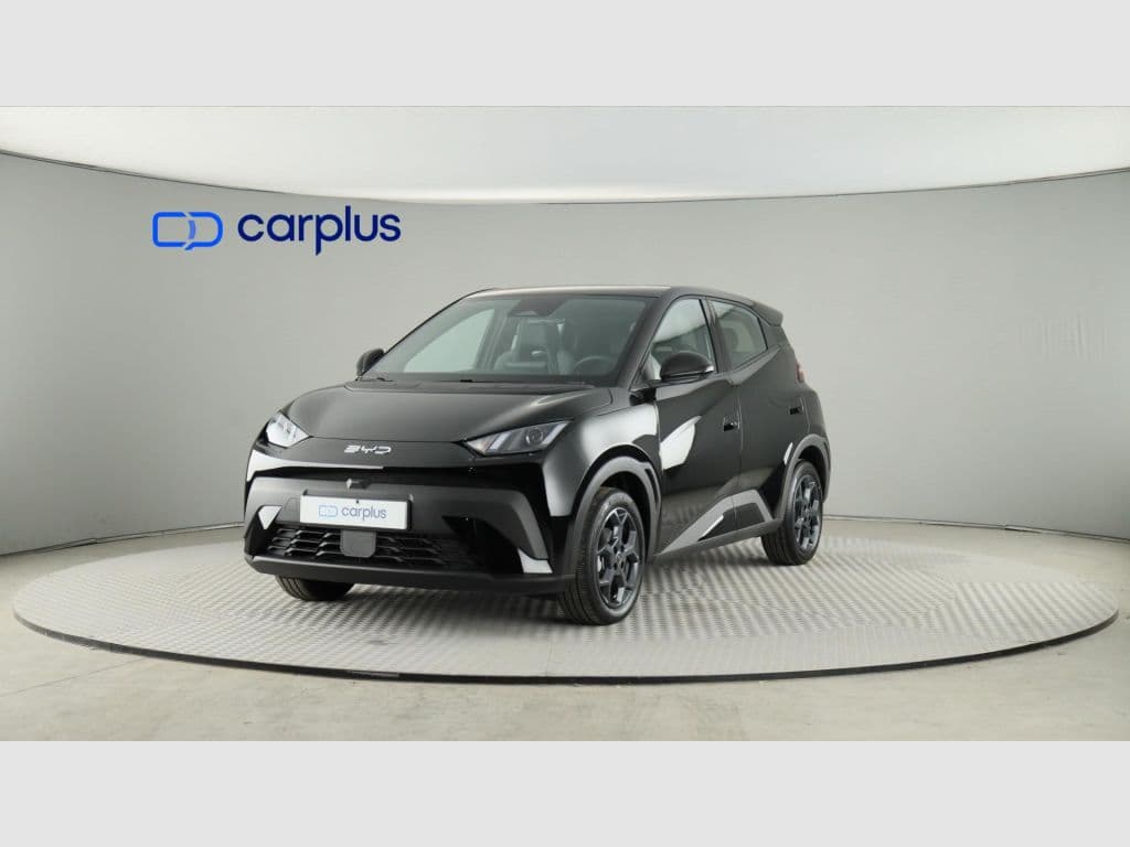 BYD Dolphin Surf