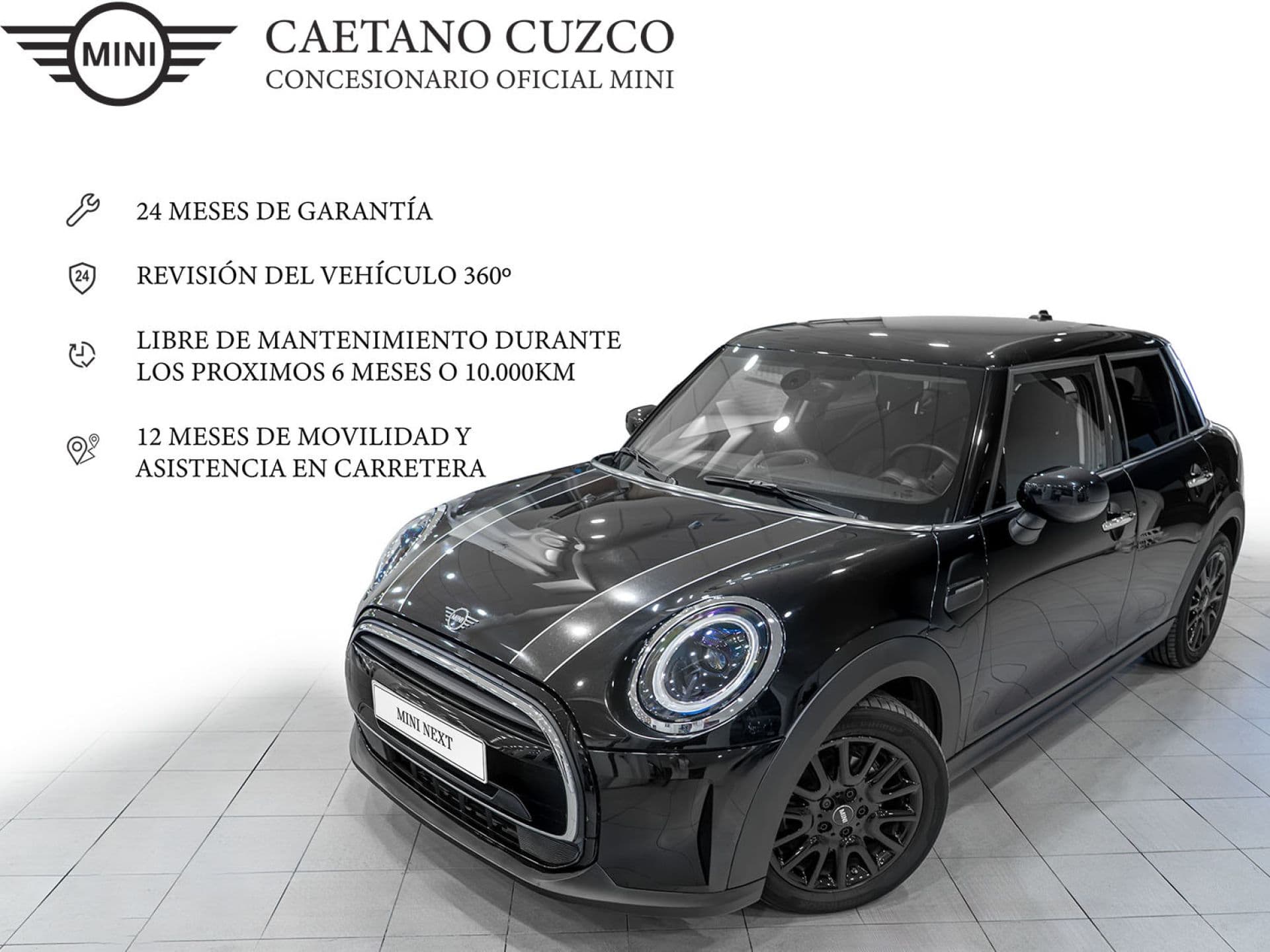 Mini Mini