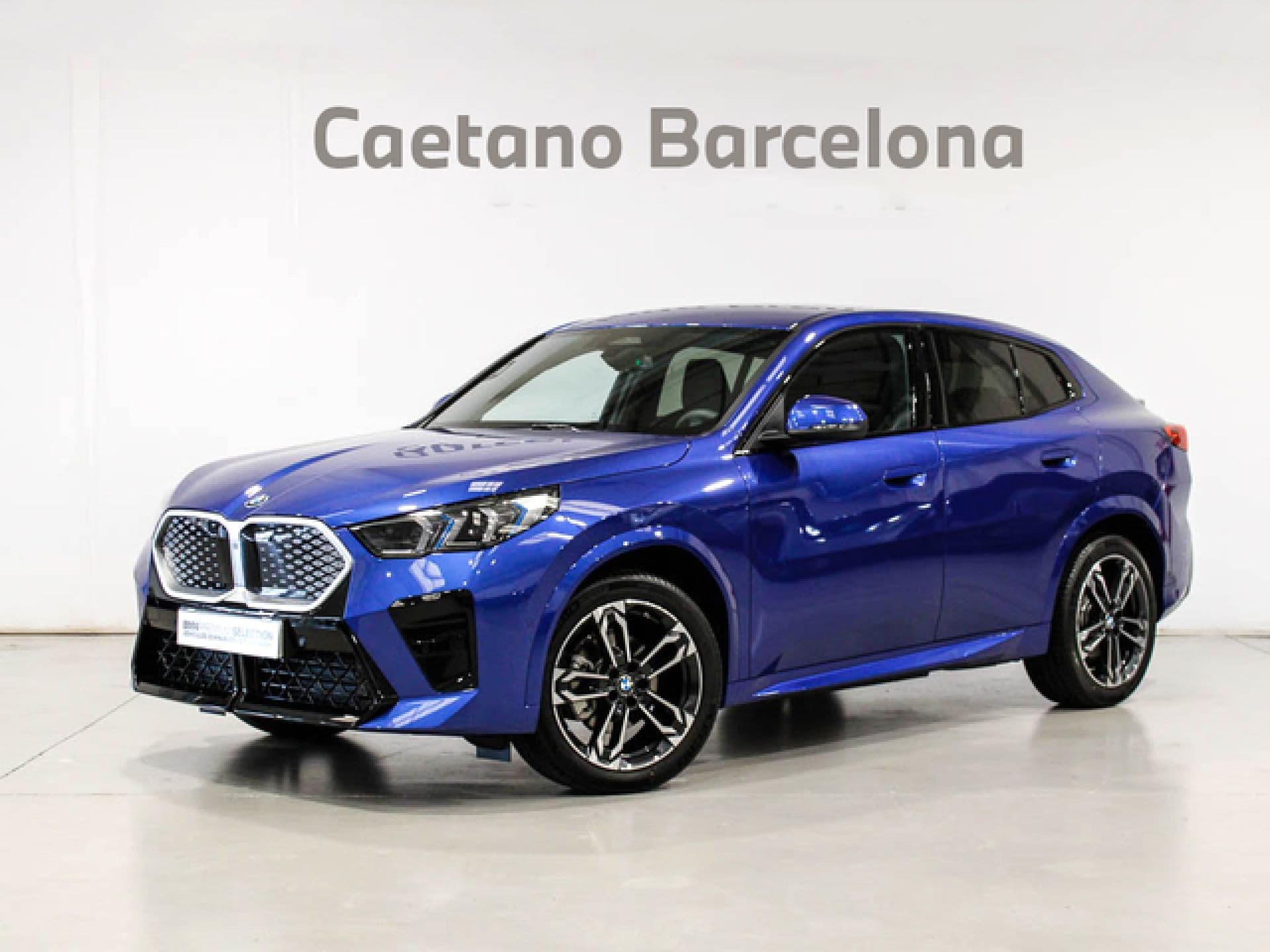 BMW ix2