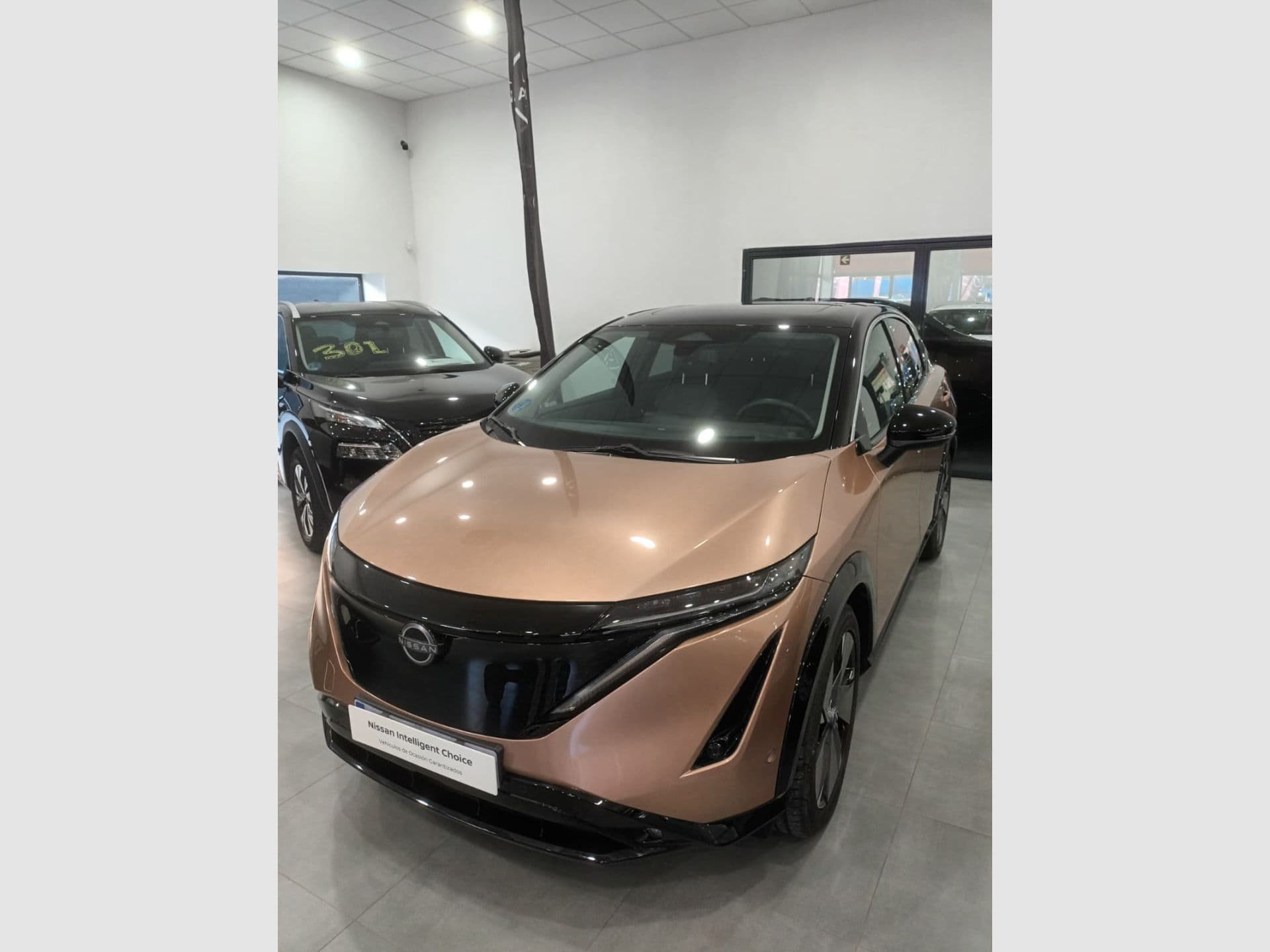 Nissan Ariya