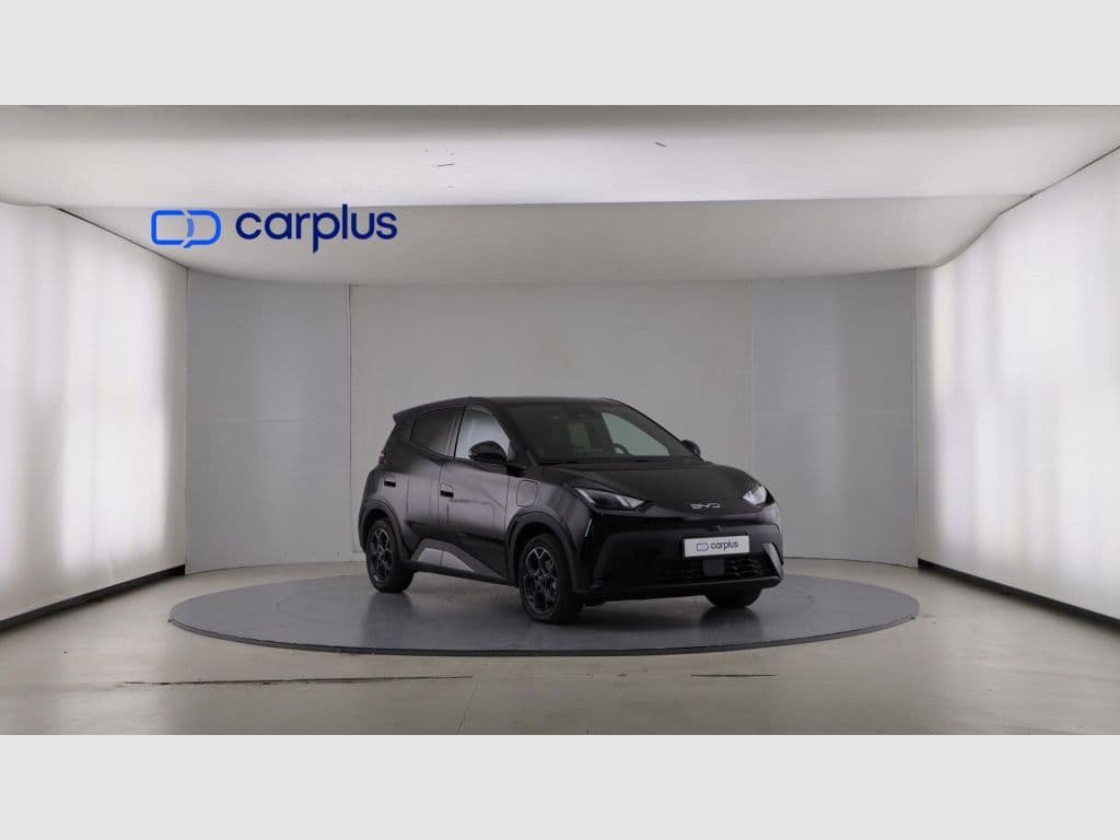 BYD Dolphin Surf