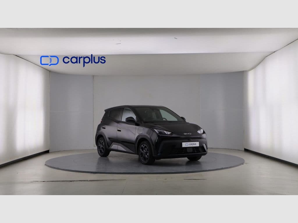 BYD Dolphin Surf